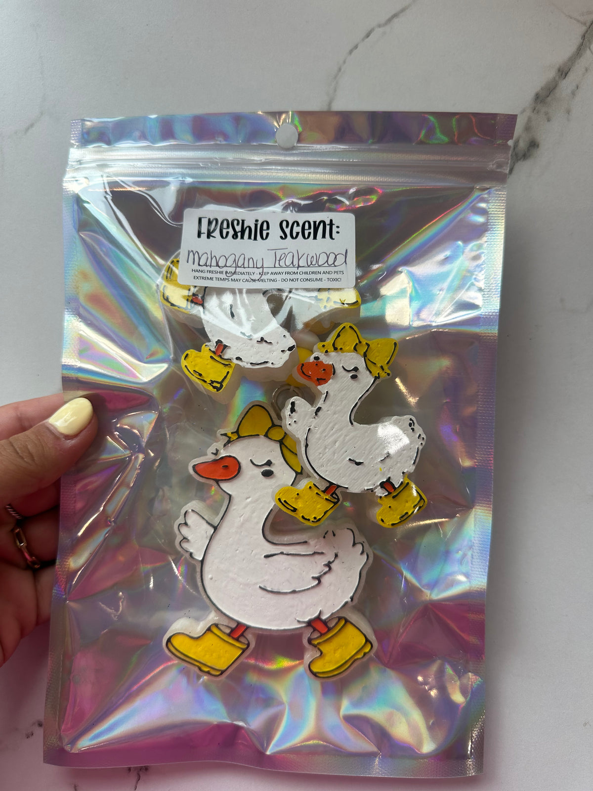 Silly Little Goose Set
