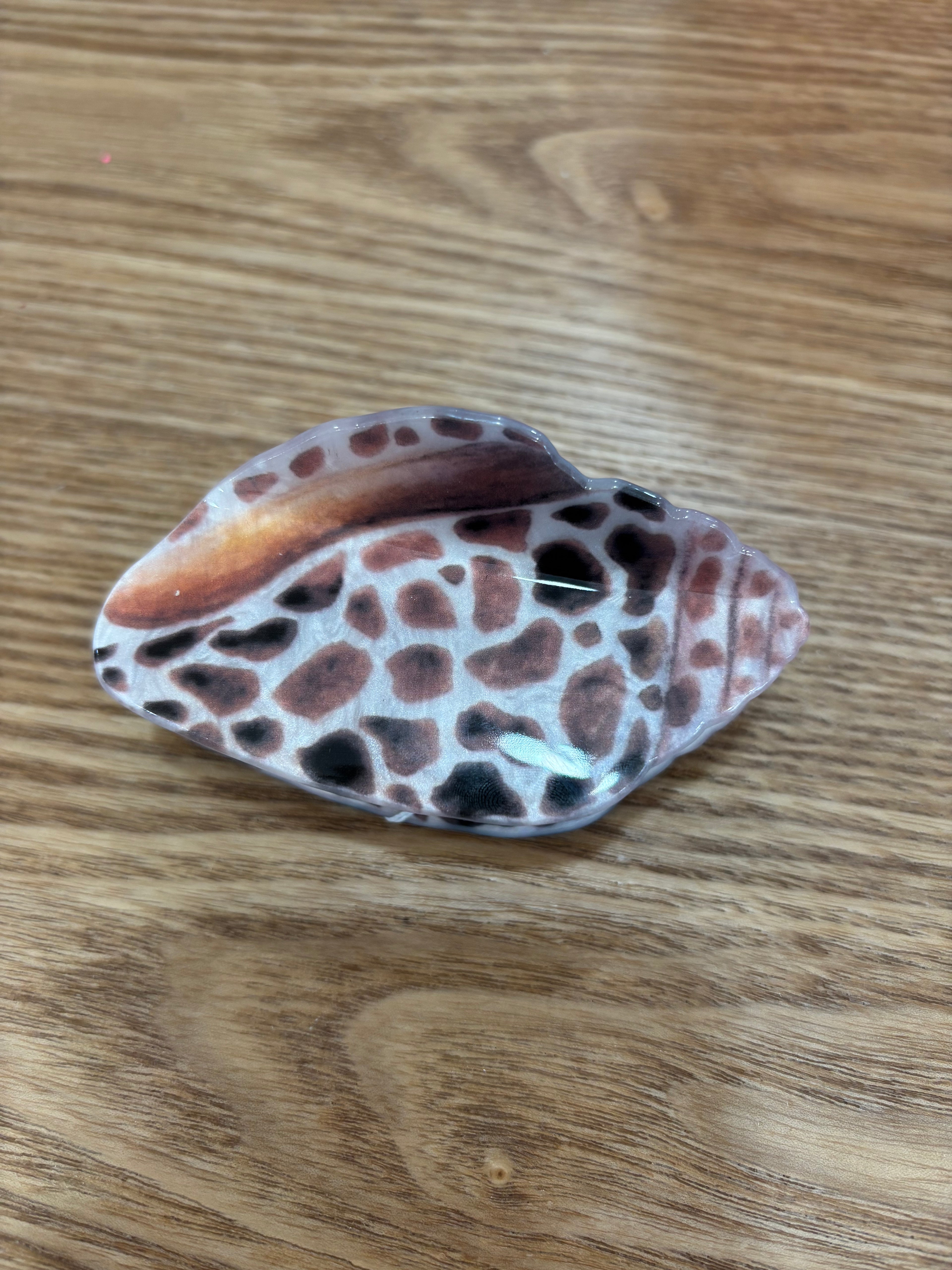 Seashell Clip